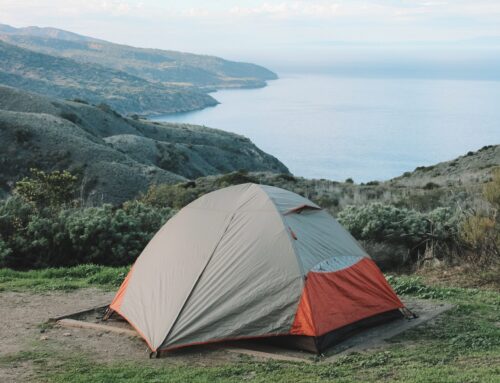 A Guide to Camping on Santa Cruz Island in Channel Islands National Park